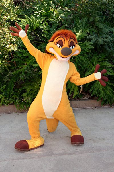 Timon (Disney)