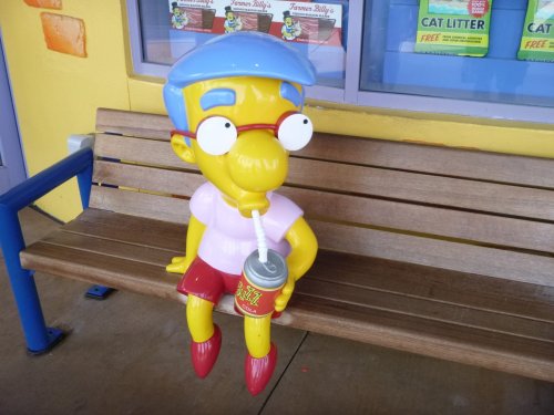 Milhouse Van Houten