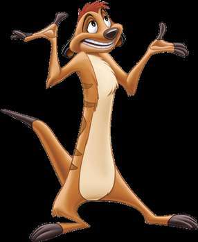 Timon