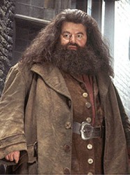 Rubeus Hagrid