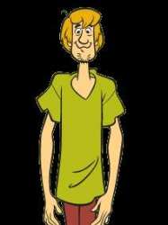 Shaggy Rogers