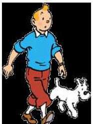 Tintin