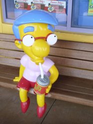 Milhouse Van Houten