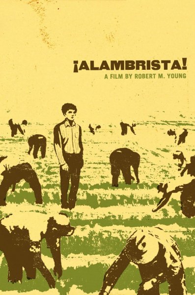 Alambrista!