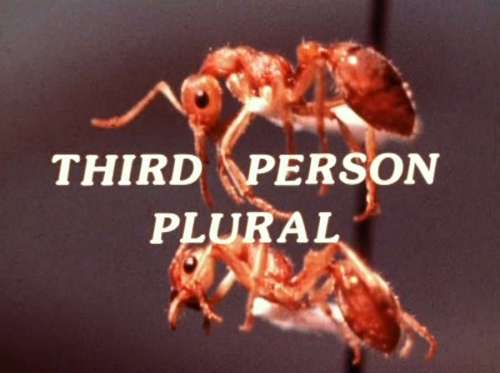 Third Person Plural