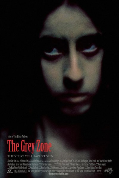 The Grey Zone