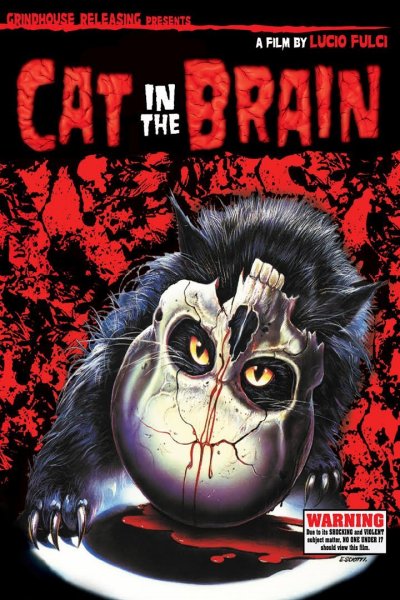 A Cat in the Brain