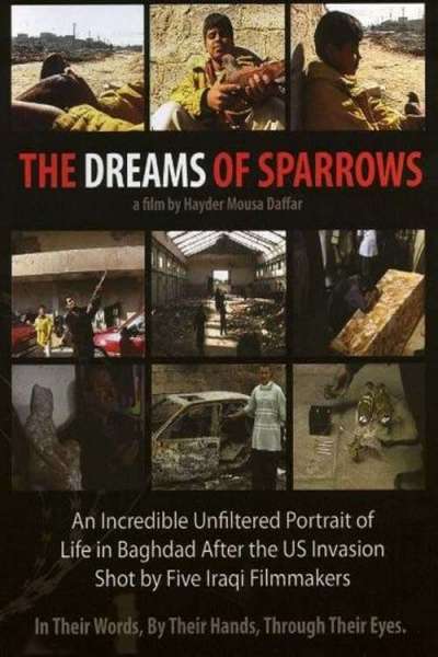 The Dreams of Sparrows