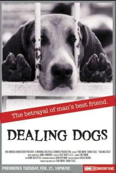 Dealing Dogs