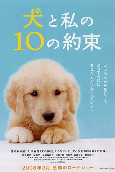 10 Promises to My Dog