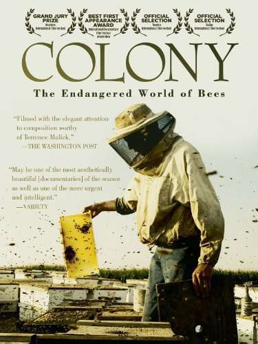 Colony