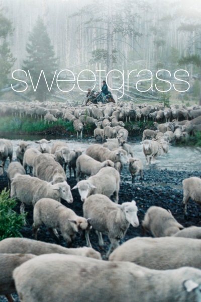 Sweetgrass