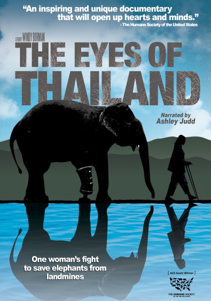 The Eyes of Thailand