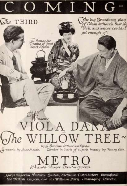 The Willow Tree