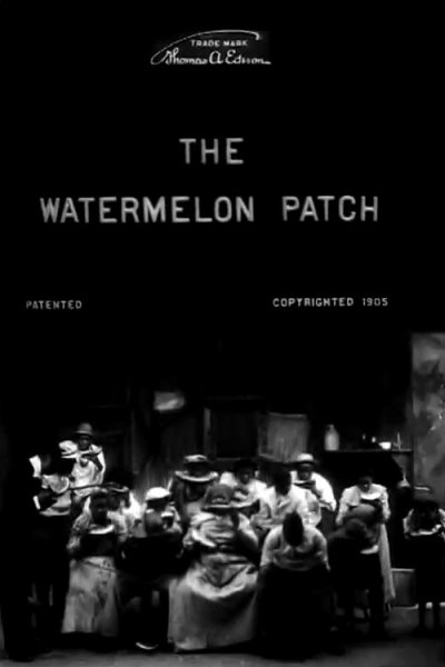 The Watermelon Patch