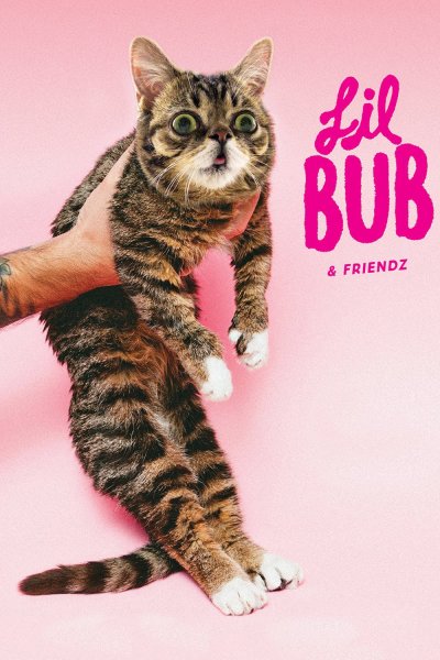 Lil Bub & Friendz