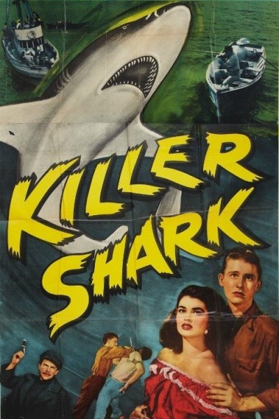 Killer Shark