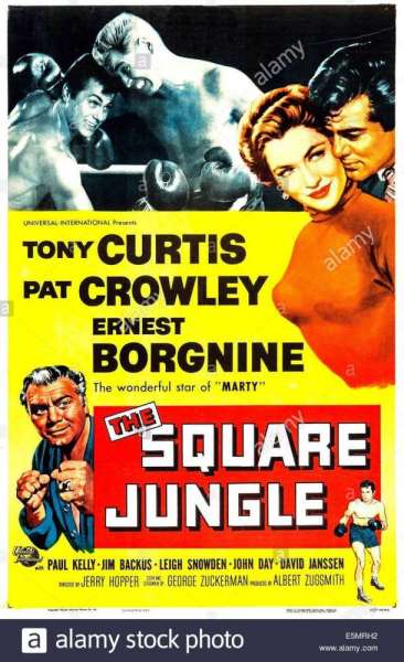 The Square Jungle