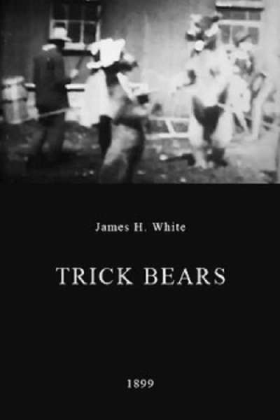 Trick Bears