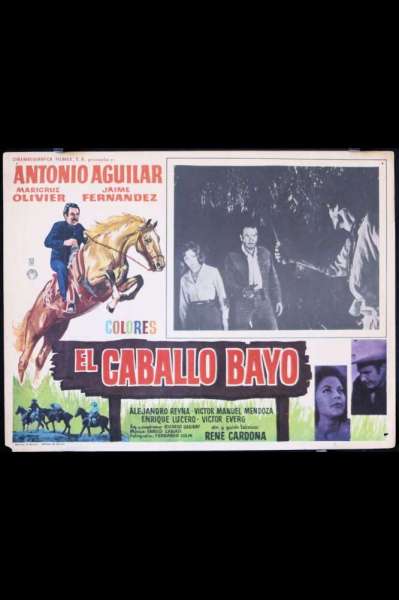 El caballo Bayo