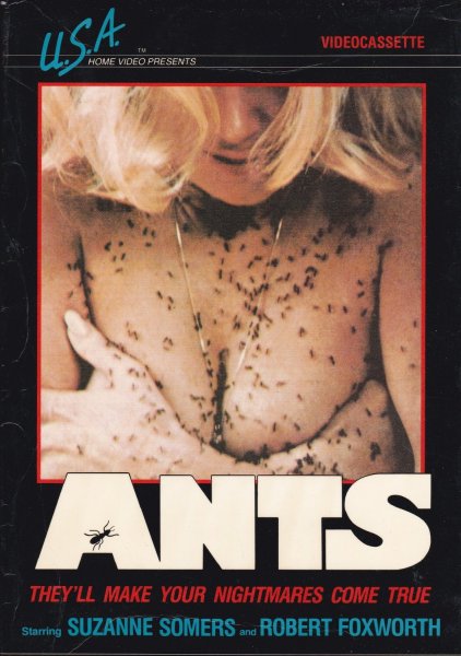 Ants!