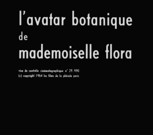 The Botanical Avatar of Mademoiselle Flora