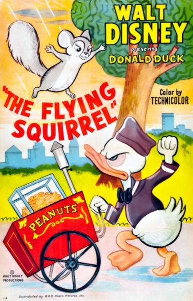 The Flying Squirrel