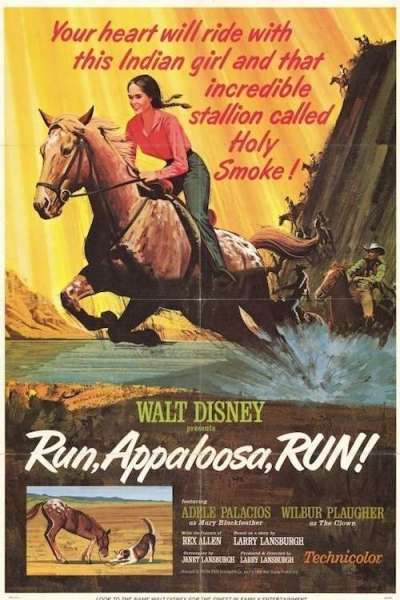 Run, Appaloosa, Run!