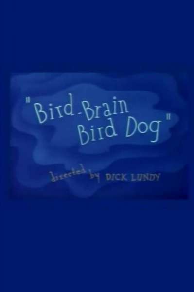 Bird-Brain Bird Dog