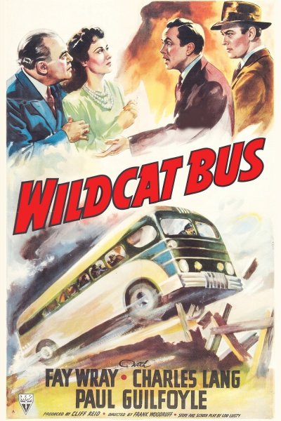 Wildcat Bus