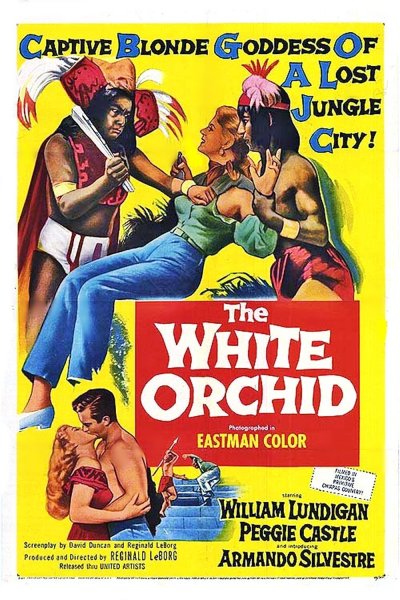 The White Orchid