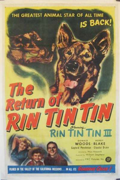 The Return of Rin Tin Tin