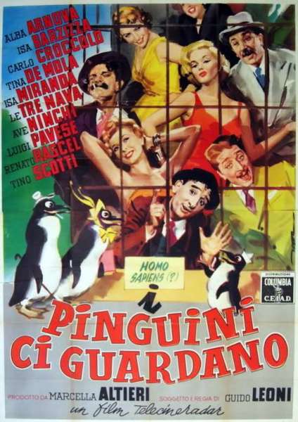 I pinguini ci guardano