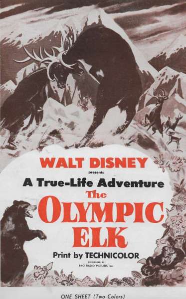 The Olympic Elk