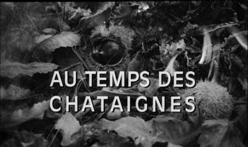 Au temps des châtaignes