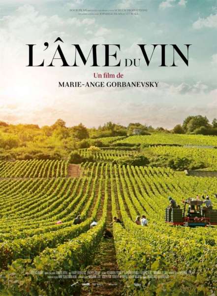 L'âme du vin