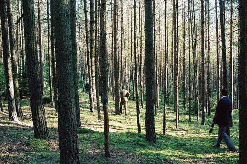 The Katyn Forest