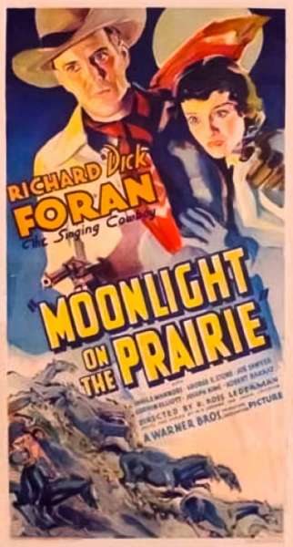 Moonlight on the Prairie