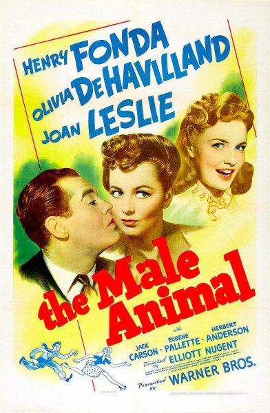 The Male Animal