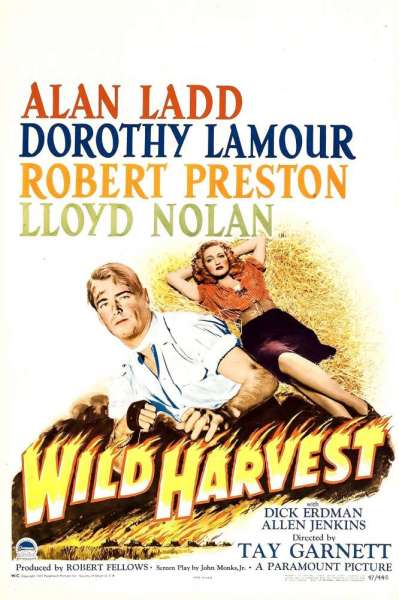 Wild Harvest