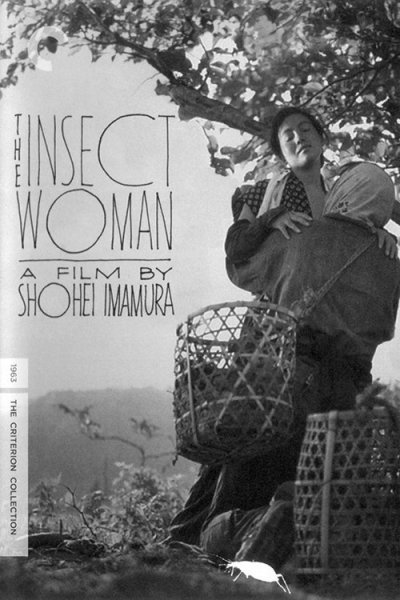 The Insect Woman