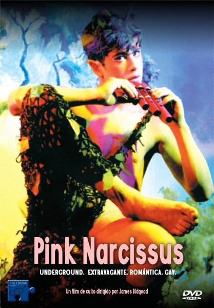 Pink Narcissus