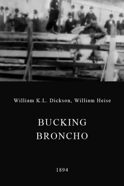 Bucking Broncho