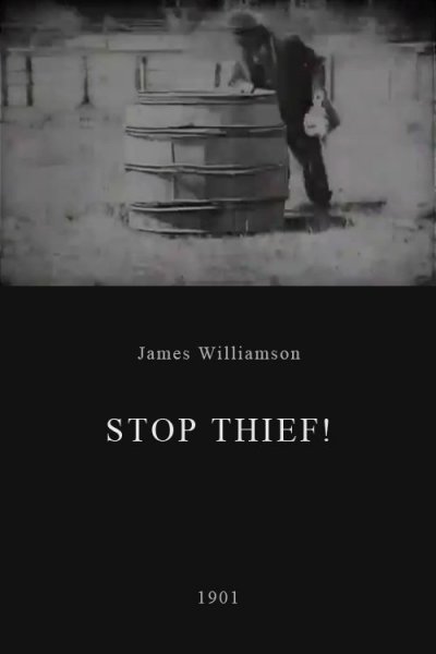 Stop Thief!