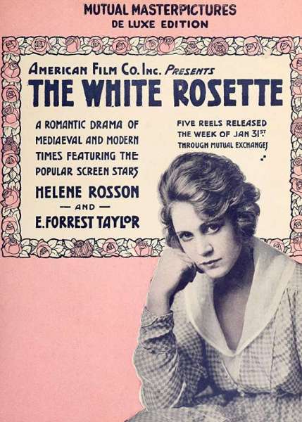 The White Rosette