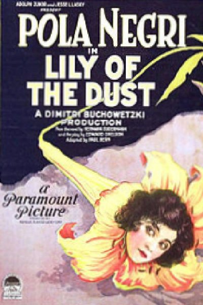 Lily of the Dust