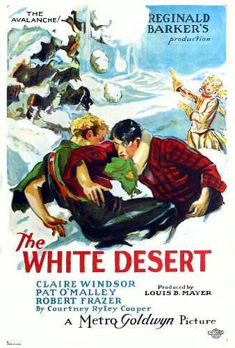 The White Desert