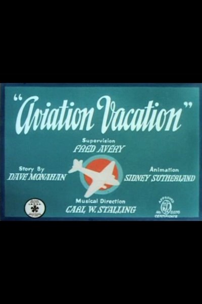 Aviation Vacation