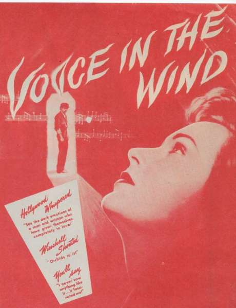 Voice in the Wind