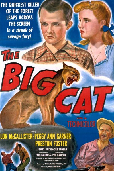 The Big Cat